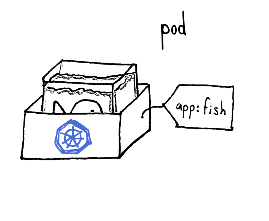 fish in tank in Pod box